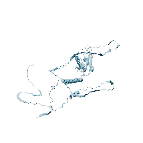 Human CD34 (C-6His, HEK293)